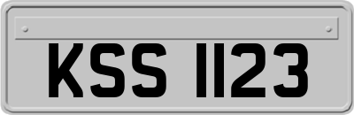 KSS1123