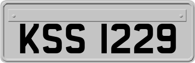 KSS1229