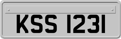 KSS1231