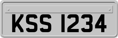KSS1234