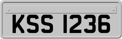 KSS1236