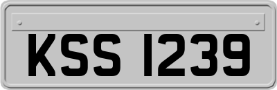 KSS1239
