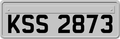 KSS2873