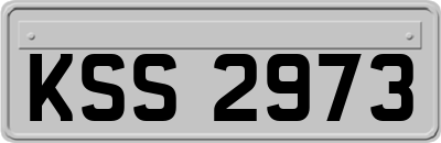 KSS2973