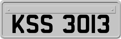 KSS3013