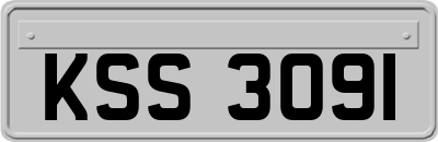 KSS3091