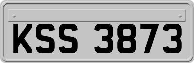 KSS3873