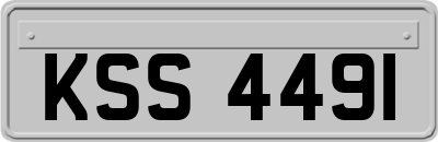 KSS4491