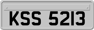 KSS5213