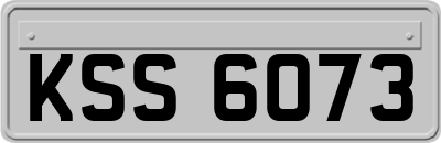 KSS6073