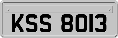 KSS8013