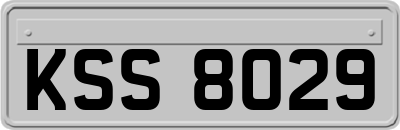 KSS8029