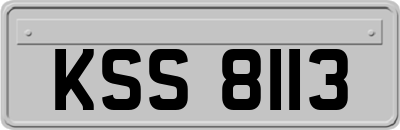 KSS8113
