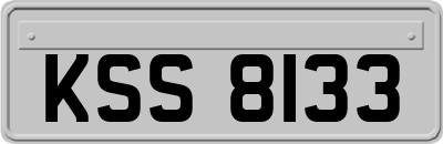 KSS8133