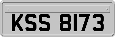 KSS8173