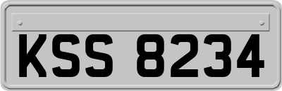 KSS8234