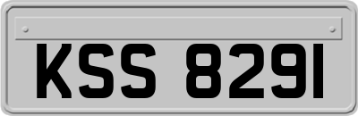 KSS8291