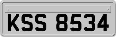 KSS8534