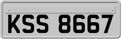 KSS8667