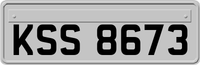 KSS8673