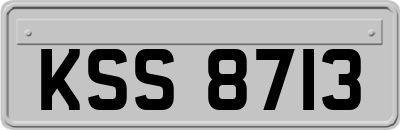 KSS8713