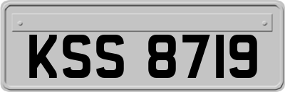KSS8719