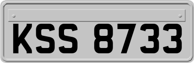KSS8733