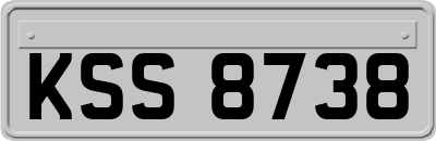 KSS8738