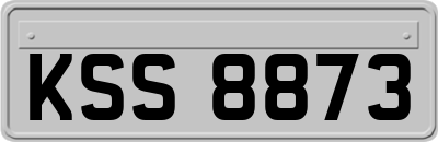 KSS8873