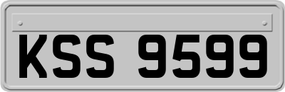 KSS9599