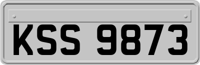 KSS9873