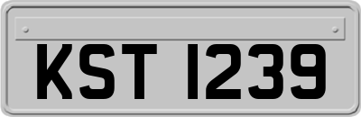 KST1239