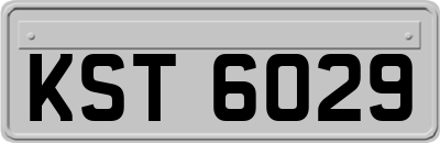 KST6029