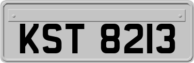 KST8213