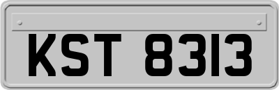 KST8313