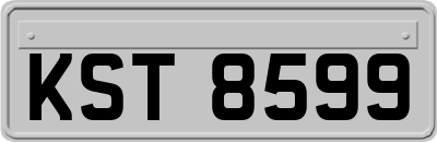 KST8599