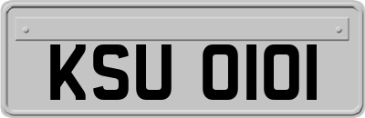 KSU0101