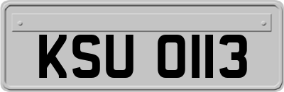 KSU0113
