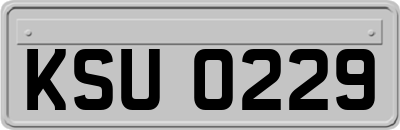 KSU0229