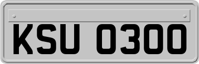 KSU0300