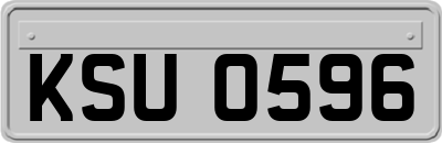 KSU0596
