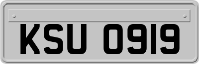KSU0919