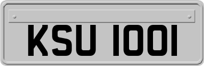 KSU1001