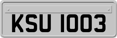 KSU1003
