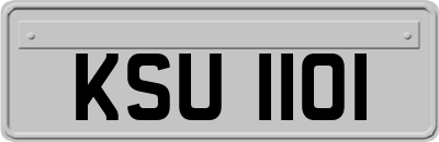 KSU1101