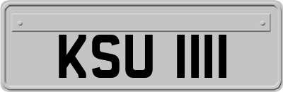KSU1111