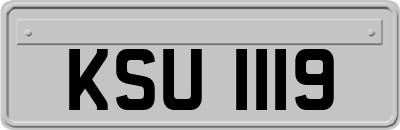 KSU1119