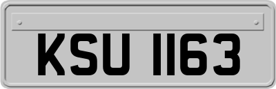 KSU1163