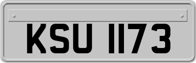 KSU1173
