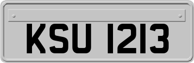 KSU1213